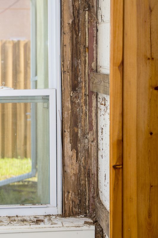 Termite Damage Repair
