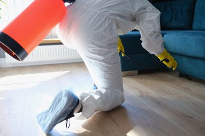 Pest Fumigation Service in Cumming, GA