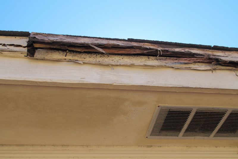 Termite Damage Repair