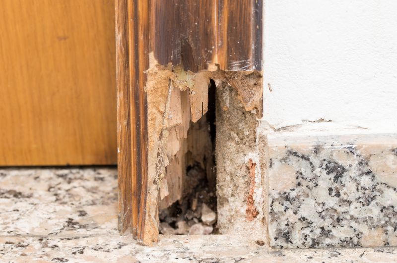 Termite Damage Repair