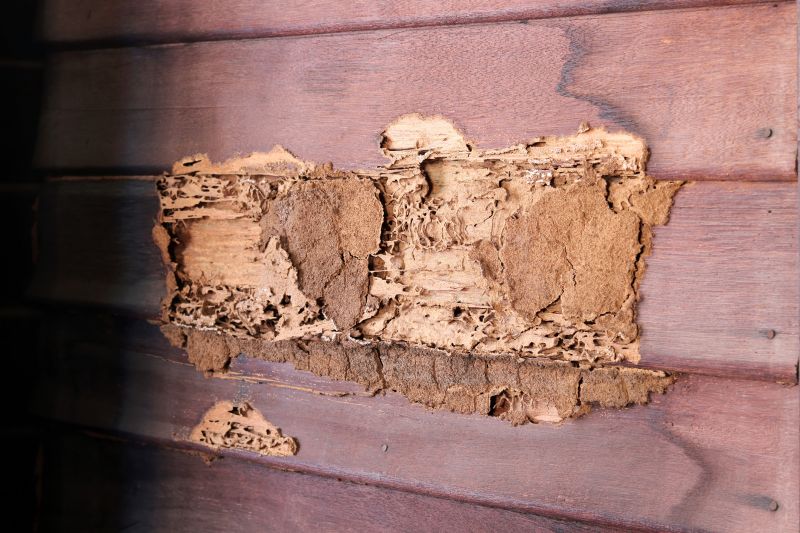 Termite Damage Repair