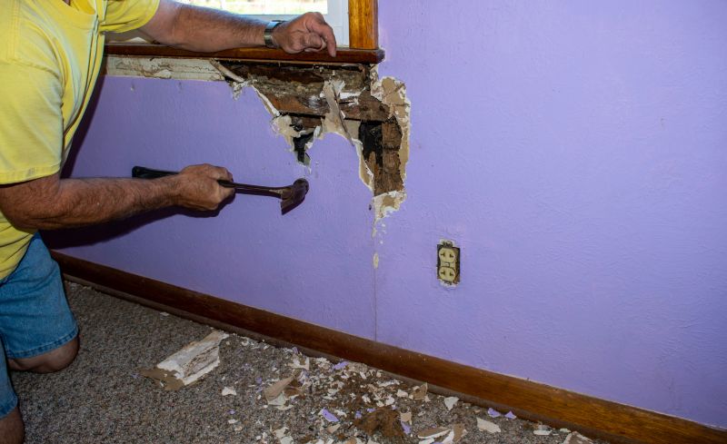Termite Damage in Walls